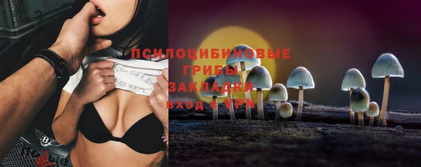 твердый Братск