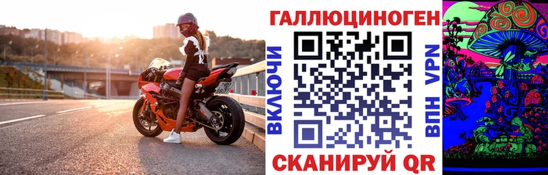 цены Вилюйск Псилоцибиновые грибы Psilocybine cubensis